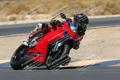 media/May-14-2022-SoCal Trackdays (Sat) [[7b6169074d]]/Turn 16 (1230pm)/